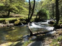 Okement river, Dartmoor