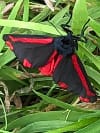 Burnet moth in the meadow
